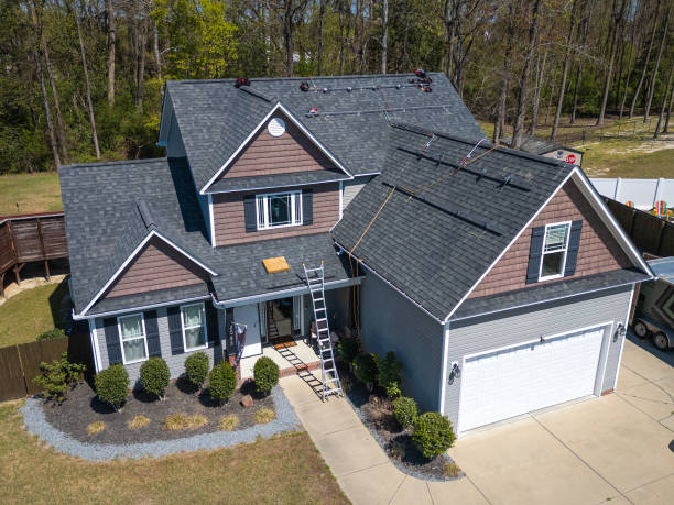 Best Roof Moss and Algae Removal  in Meadowbrook, VA